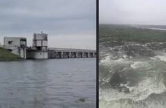 Monsoon: પ્રથમ વરસાદમાં જ ભાવનગરનો શેત્રુંજી ડેમ ઓવરફ્લૉ, દરવાજાની ઉપરથી નદીમાં વહી રહ્યું છે પાણી