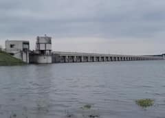 Photos: શેત્રુંજી નદીમાં ધસમસતો પ્રવાહ, પ્રથમ વરસાદમાં જ શેત્રુંજી ડેમ 80 ટકા ભરાયો, જુઓ નજારો