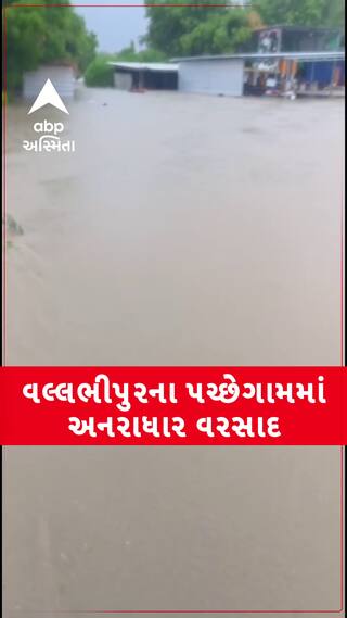 Bhavnagar Rain Update : ભાવનગરના વલ્લભીપુરના પચ્છેગામમાં અનરાધાર વરસાદ