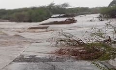 Gujarat Rain: ભારે વરસાદના કારણે સૌરાષ્ટ્રના અનેક જિલ્લાઓમાં મેઘતાંડવ, જનજીવન પ્રભાવિત 