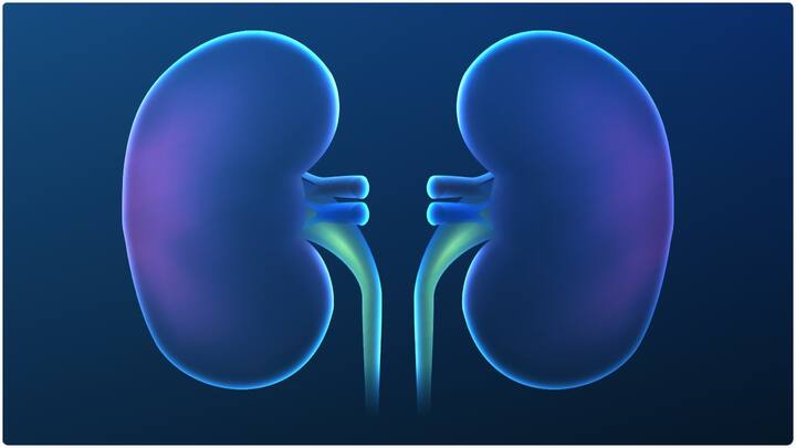 రోజూ వ్యాయామం చేస్తే ఆరోగ్యానికి మంచిది. ఇది బీపిని అదుపులో ఉంచుతుంది. దీనివల్ల బరువు పెరగకుండా ఉంటారు. దీనివల్ల కిడ్నీలపై భారం తగ్గుతుంది.