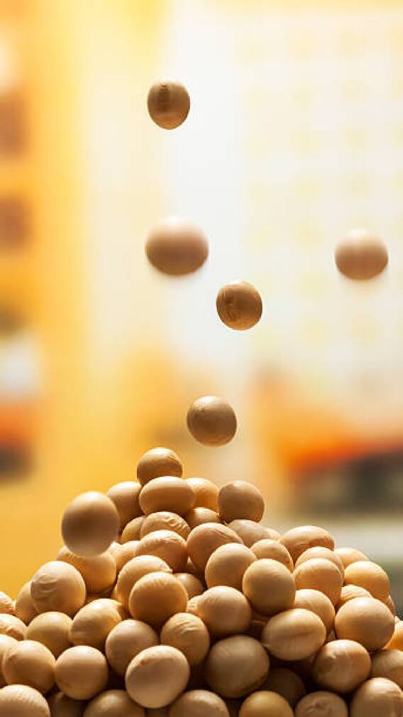 100 ग्रॅम सोयाबीनमध्ये किती प्रोटीन असत?