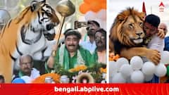 AI ভিডিওতে অনুব্রতকে জড়িয়ে ধরছে বাঘ ! পাল্টা কাজলের সঙ্গী সিংহ