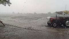 Gujarat Rain: આજે આ જિલ્લાઓમાં હવામાન વિભાગનું રેડ એલર્ટ, વરસાદ ધબધબાટી બોલાવશે!