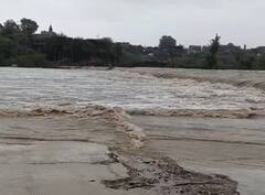 Saurashtra Rain:  ગઢડા-ઉમરાળામાં 14 ઈંચ વરસાદ, પાલીતાણામાં 12 ઈંચ ખાબકતા જળબંબાકાર