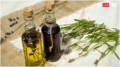 बॉडी पर लगाएं ये तेल, मिलेंगे इतने फायदे कि गिनते-गिनते थक जाएंगी उंगलियां