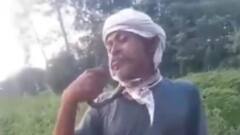 রিলস বানাতে গিয়ে সাপকে চুমু ! সটান জিভে ছোবল, দেখুন ভাইরাল ভিডিও