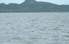 Bhavnagar Heavy Rain:ભાવનગર જિલ્લામાં ધોધમાર વરસાદ,શેત્રુંજી ડેમ 80 ટકા ભરાયો,એલર્ટ જાહેર