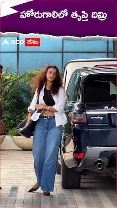 హోరుగాలిలో తృప్తి దిమ్రి