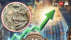 Adani Group Stocks Rally; Ambuja Cements Jumps 4%