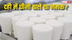 दही नमक डालकर खानी चाहिए या फिर चीनी? 99 फीसदी लोग नहीं जानते हैं ये बात