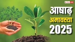 आषाढ़ अमावस्या पर लगाएं ये चमत्कारी पौधे, पितृ दोष से मिलेगी मुक्ति!