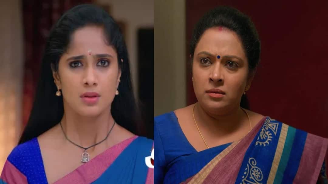 Ayali Serial: அயலிக்கு நடக்கும் அநியாயம்.. இரண்டாம் தாரமாக கட்டி வைக்க ஜமுனா சதி
