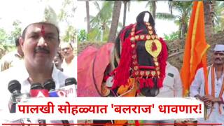 वर्षभर खास खुराक, तेल मालिश- खरारा अन् प्रशिक्षण, धवलसिंह माेहिते पाटलांचा 'बलराज' घोडा पालखी सोहळ्यासाठी देहूला निघाला