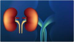 Kidney Health : కిడ్నీని ఆరోగ్యంగా ఉంచే అలవాట్లు ఇవే.. మూత్రపిండాల్లో రాళ్లు రాకుండా ఇవి హెల్ప్ చేస్తాయట