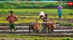 ਕਿਸਾਨਾਂ ਦੇ ਖਾਤਿਆਂ 'ਚ 2 ਹਜ਼ਾਰ ਦੀ ਥਾਂ ਆਉਣਗੇ 4 ਹਜ਼ਾਰ ਰੁਪਏ, ਜਾਣੋ ਕਿਹੜੇ ਕਿਸਾਨਾਂ ਨੂੰ ਮਿਲੇਗਾ ਆਹ ਦੋਹਰਾ ਫਾਇਦਾ