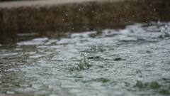 Kerala Braces For Heavy Rains Till June 18; IMD Issues Orange & Yellow Alerts Across Districts