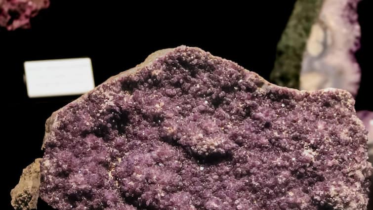 India Set To Launch Rs 5,000 Crore Scheme To Boost Rare Earth Magnet Manufacturing: Report