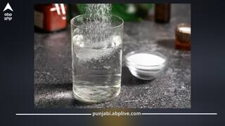 ਪਾਣੀ 'ਚ ਸੇਂਧਾ ਨਮਕ ਮਿਲਾ ਕੇ ਪੀਣ ਦੇ ਗਜ਼ਬ ਫਾਇਦੇ! ਜਾਣੋ ਸਿਹਤ ਲਈ ਕਿਵੇਂ ਹੈ ਲਾਭਦਾਇਕ