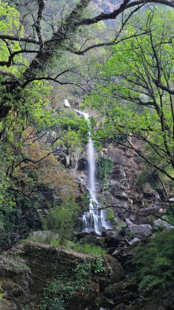 मानसून में घूमने के लिए झारखंड की 5 खूबसूरत जगहें!