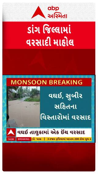 Dang Rain : ડાંગ જિલ્લામાં જામ્યો વરસાદી માહોલ, વઘઈમાં 1 ઇંચ વરસાદ
