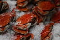 Health Benefits Of Eating Crab: पावसाळ्यात खेकडे खाण्याचे जबरदस्त फायदे जाणून घ्या!