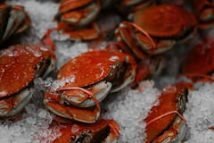 Health Benefits Of Eating Crab: पावसाळ्यात खेकडे खाण्याचे जबरदस्त फायदे जाणून घ्या!