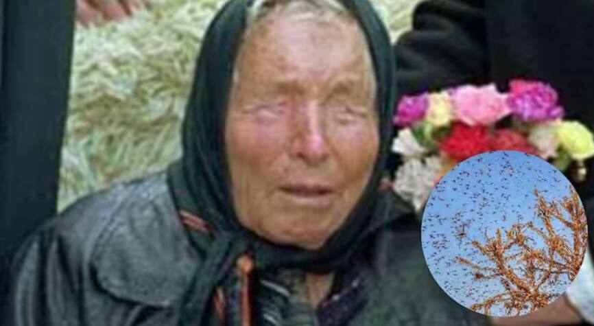 ਪਵੇਗੀ ਭਿਆਨਕ ਗਰਮੀ ਅਤੇ ਟਿੱਡੀਆਂ ਦਾ ਹਮਲਾ, ਕੀ ਇਸ ਸਾਲ ਸੱਚ ਹੋਵੇਗੀ ਬਾਬਾ ਵੇਂਗਾ ਦੀ ਭਵਿੱਖਬਾਣੀ? baba-vanga-predicted-extreme-heat-high-temperature-and-locust-attack-in-india-crops-will-be-damaged ਪਵੇਗੀ ਭਿਆਨਕ ਗਰਮੀ ਅਤੇ ਟਿੱਡੀਆਂ ਦਾ ਹਮਲਾ, ਕੀ ਇਸ ਸਾਲ ਸੱਚ ਹੋਵੇਗੀ ਬਾਬਾ ਵੇਂਗਾ ਦੀ ਭਵਿੱਖਬਾਣੀ?