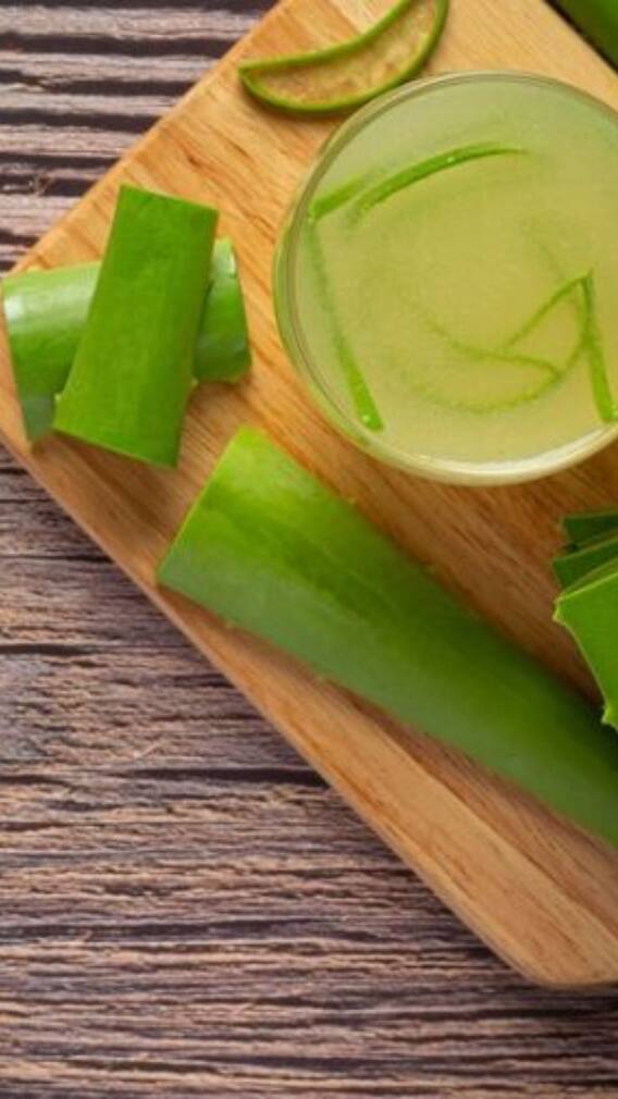অ্যালোভেরাতে বিপদও আছে ! ত্বকে লাগানোর সময় এই ৫ ভুল কখনও নয়