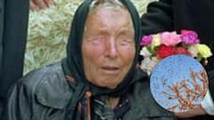 भयंकर गर्मी और टिड्डियों का हमला, क्या इसी साल सच होगी बाबा वेंगा की ये भविष्यवाणी?