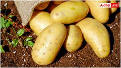 गलती से भी फ्रीजर में कभी नहीं रखें ये 10 चीजें, वरना...