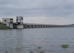 Shetrunji Dam: શેત્રુંજી ડેમના 59 દરવાજા 2 ફૂટ સુધી ખોલાયા, નદીમાં પાણી છોડાતા 17 ગામો એલર્ટ પર