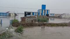 ગુજરાતમાં નૈઋત્ય ચોમાસાનું આગમન, રાજ્યમાં સરેરાશ 10.46 ટકા વરસાદ વરસ્યો