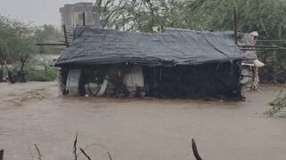 Gujarat Rain:  રાજ્યમાં છેલ્લા 24 કલાકમાં 27 તાલુકામાં વરસાદ, બરવાળામાં પોણા આઠ ઈંચ વરસાદ ખાબક્યો
