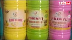 घर के आजू-बाजू भी नहीं फटकेंगी छिपकलियां, आजमाएं ये 10 तरीके