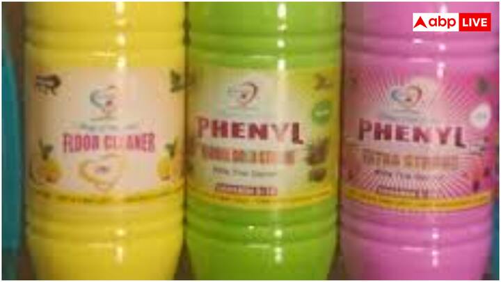 फिनाइल की गोलियों की तेज गंध छिपकलियों को दूर रखती है. इन्हें घर के कोनों, दरारों, या उन जगहों पर बिखेर दें जहां छिपकलियां अक्सर दिखती हैं. नियमित रूप से गोलियां बदलते रहें.