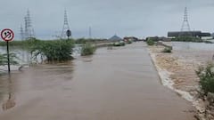 Gujarat Rain: રાજ્યમાં ભારે વરસાદના કારણે 193 રોડ- રસ્તા બંધ, એસટીની 194 ટ્રીપો કરાઇ રદ્દ