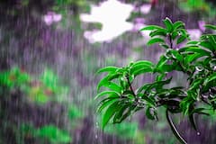 Weather Update: āĻŦāϰā§āώāĻž āĻāϏā§āĻā§ āĻĻāĻā§āώāĻŋāĻŖāĻŦāĻā§āĻā§, āϏāĻā§āĻā§ āĻĻā§āϏāϰ āĻāĻā§āϰ āĻļāĻā§āϤāĻŋāĻļāĻžāϞ⧠āύāĻŋāĻŽā§āύāĻāĻžāĻĒ, āĻāĻžāϰ⧠āĻŦā§āώā§āĻāĻŋāϰ āϏāϤāϰā§āĻāϤāĻž āĻāĻāĻžāϧāĻŋāĻ āĻā§āϞāĻžā§