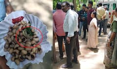 Naan Mudhalvan: நான் முதல்வன் பயிற்சி; பல்லியுடன் சுண்டல் விநியோகம்-  பேராசிரியர்களுக்கு வாந்தி, மயக்கத்தால் பரபரப்பு!