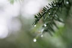 Weather Update: āĻŦāϰā§āώāĻž āĻāϏā§āĻā§ āĻĻāĻā§āώāĻŋāĻŖāĻŦāĻā§āĻā§, āϏāĻā§āĻā§ āĻĻā§āϏāϰ āĻāĻā§āϰ āĻļāĻā§āϤāĻŋāĻļāĻžāϞ⧠āύāĻŋāĻŽā§āύāĻāĻžāĻĒ, āĻāĻžāϰ⧠āĻŦā§āώā§āĻāĻŋāϰ āϏāϤāϰā§āĻāϤāĻž āĻāĻāĻžāϧāĻŋāĻ āĻā§āϞāĻžā§