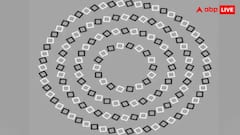 इस तस्वीर में कितने गोल घेरे हैं? देखो और बताओ, आंखें नहीं दिमाग घुमा देगा ये मैजिक