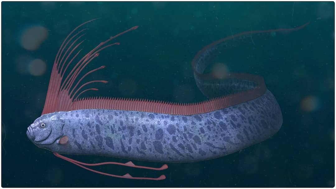 Doomsday Fish : తమిళనాడులో కనిపించిన 'డూమ్స్ డే ఫిష్'.. ఓర్ఫిష్తో సునామీ ముప్పు తప్పదా? ఇంట్రెస్టింగ్ ఫ్యాక్ట్స్ ఇవే Doomsday Fish Also Known as the Oarfish Spotted in Tamil Nadu Could It Be Tsunami Warning Here are the Fascinating Facts Doomsday Fish : తమిళనాడులో కనిపించిన 'డూమ్స్ డే ఫిష్'.. ఓర్ఫిష్తో సునామీ ముప్పు తప్పదా? ఇంట్రెస్టింగ్ ఫ్యాక్ట్స్ ఇవే