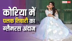 कोरिया में पलक तिवारी का दिखा ग्लैमरस अंदाज, फोटोज में दिखीं के-ड्रामा क्वीन