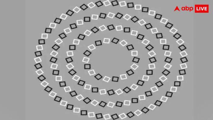 इस ऑप्टिकल इमेज में कुल कितने सर्कल छुपे हुए हैं ये पता लगाना ही आपके लिए चुनौती है. अगर आप इन्हें जल्दी पहचान पाए, तो बधाई! आपकी तीव्र दृष्टि और तेज ध्यान क्षमता है.