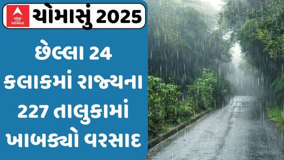 Monsoon 2025: છેલ્લા 24 કલાકમાં રાજ્યના 227 તાલુકામાં ખાબક્યો વરસાદ, Watch Report