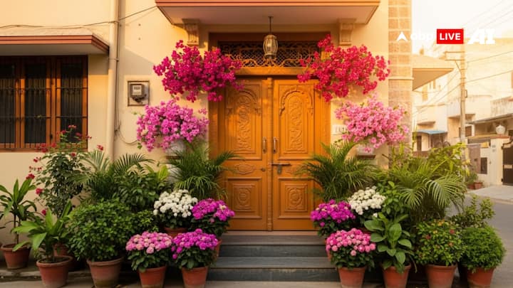 The having a tree plant in front of the main gate of the house is also an inauspicious sign. In such a situation, displace these tree plants elsewhere. By doing this, the interruption in luck ends.