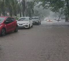 राज्यात पावसाचा धुमाकूळ, नदी नाल्यांना पूर, जनजीवन विस्कळीत