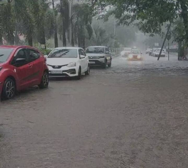 राज्याच्या विविध भागात पावसानं धुमाकूळ घातला आहे. अनेक भागात जनजीवन विस्कळीत झालं आहे.