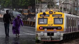 Mumbai Rain Updates: मुंबईकरांनो गरज असेल तरच घराबाहेर पडा, हवामान खात्याकडून ऑरेंज अलर्ट, धो-धो पाऊस कोसळण्याची शक्यता