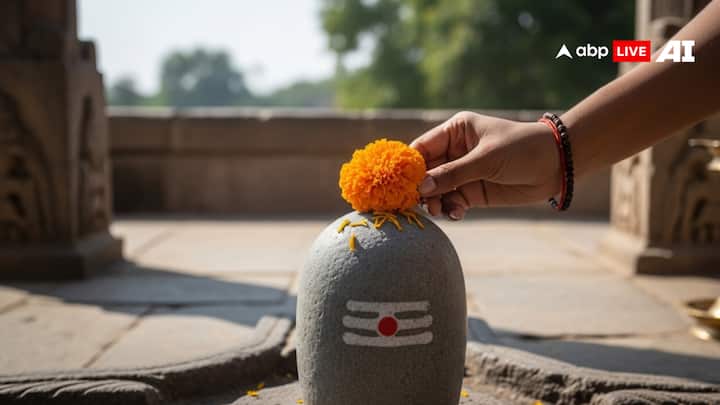 In the holy month of Sawan, offering the flower of Madar on the Shivling, one gets the blessings of fame and work.
